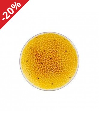 Farfurie pentru desert, Frutos Tropicais Passion Fruit - BORDALLO PINHEIRO